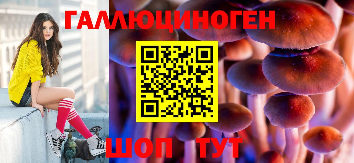 Галлюциногенные грибы Magic Shrooms  Псилоцибиновые грибы Psilocybe  Тольятти  Вход с VPN 